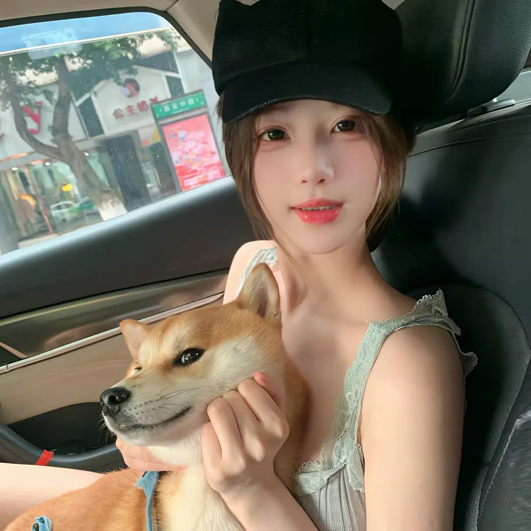守法的盗贼